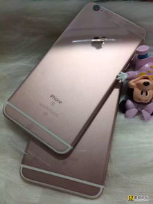 谊诚手机配件超市 新手乐园，开启数码配件新体验